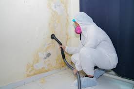 Best Comprehensive Air Testing for Mold Contaminants  in Manchester, IA